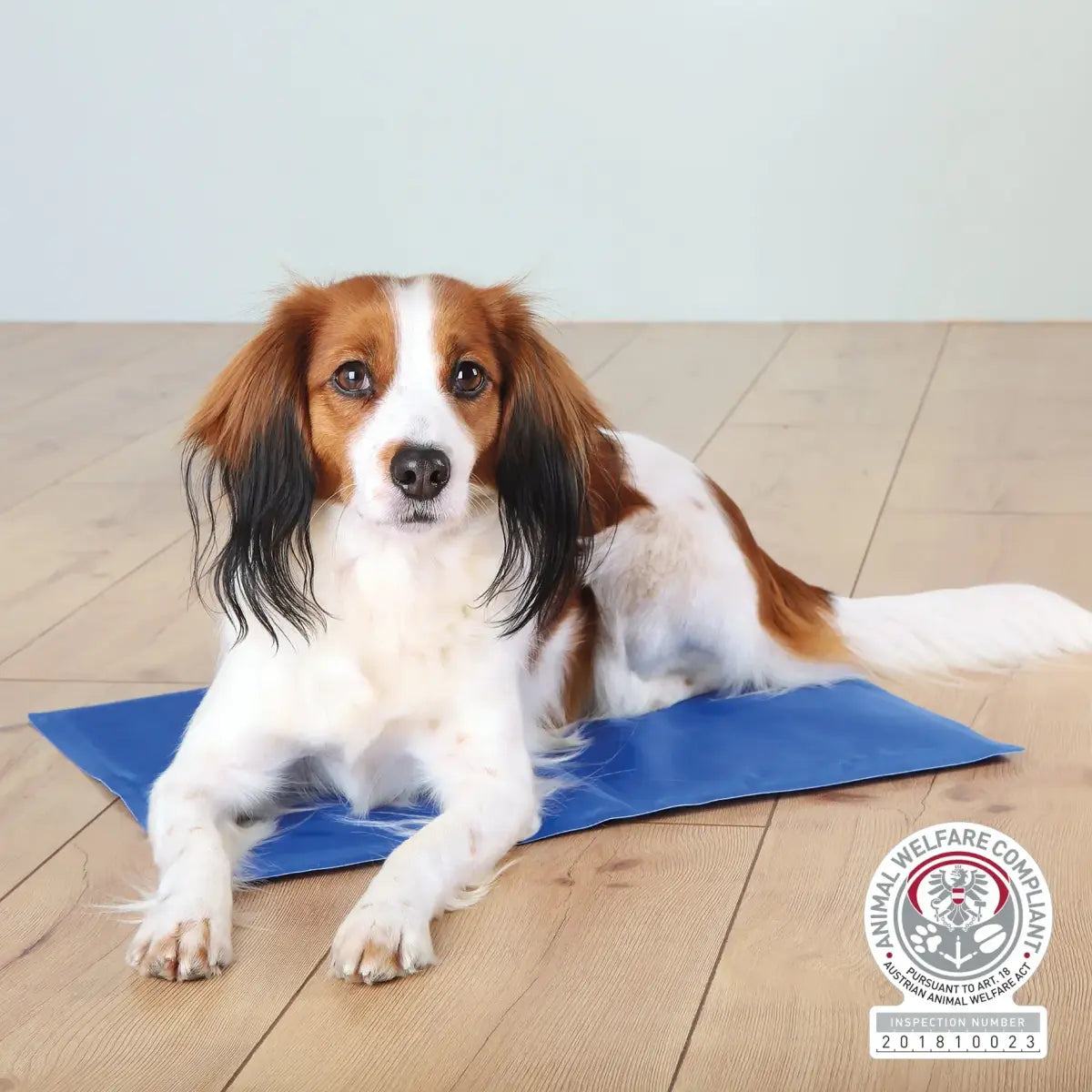 COOLING MAT BLUE 35X20 INCH