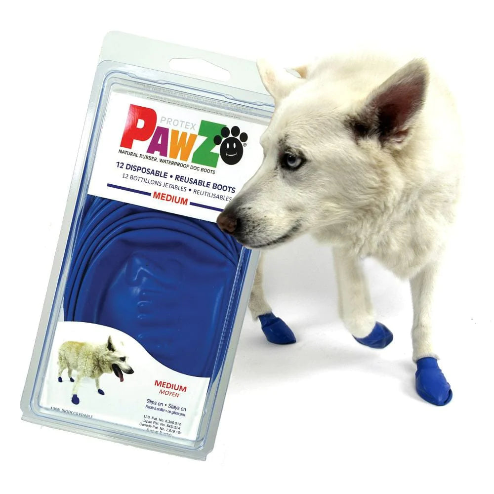PROTEX PAWZ MEDIUM BLUE
