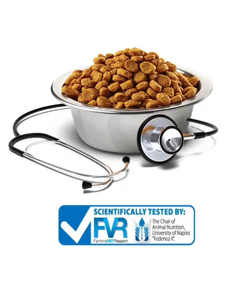 FARMINA VET LIFE DOG HEPATIC 2KG