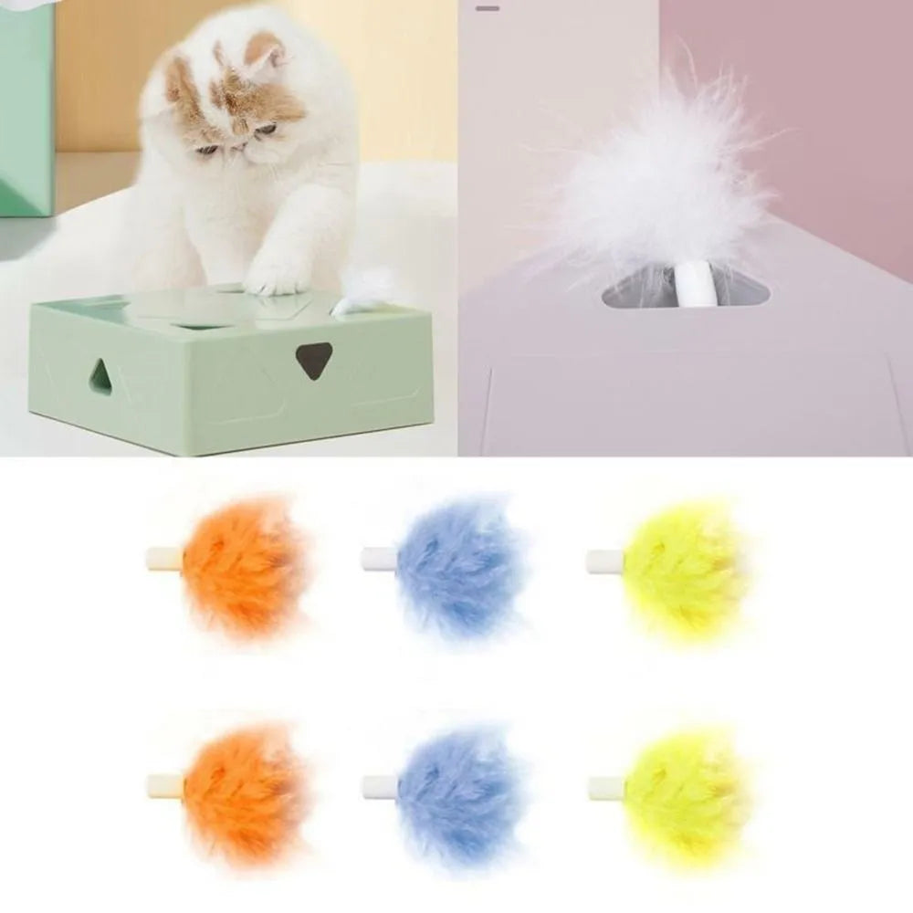 FOFOS 6PK CAT TOY