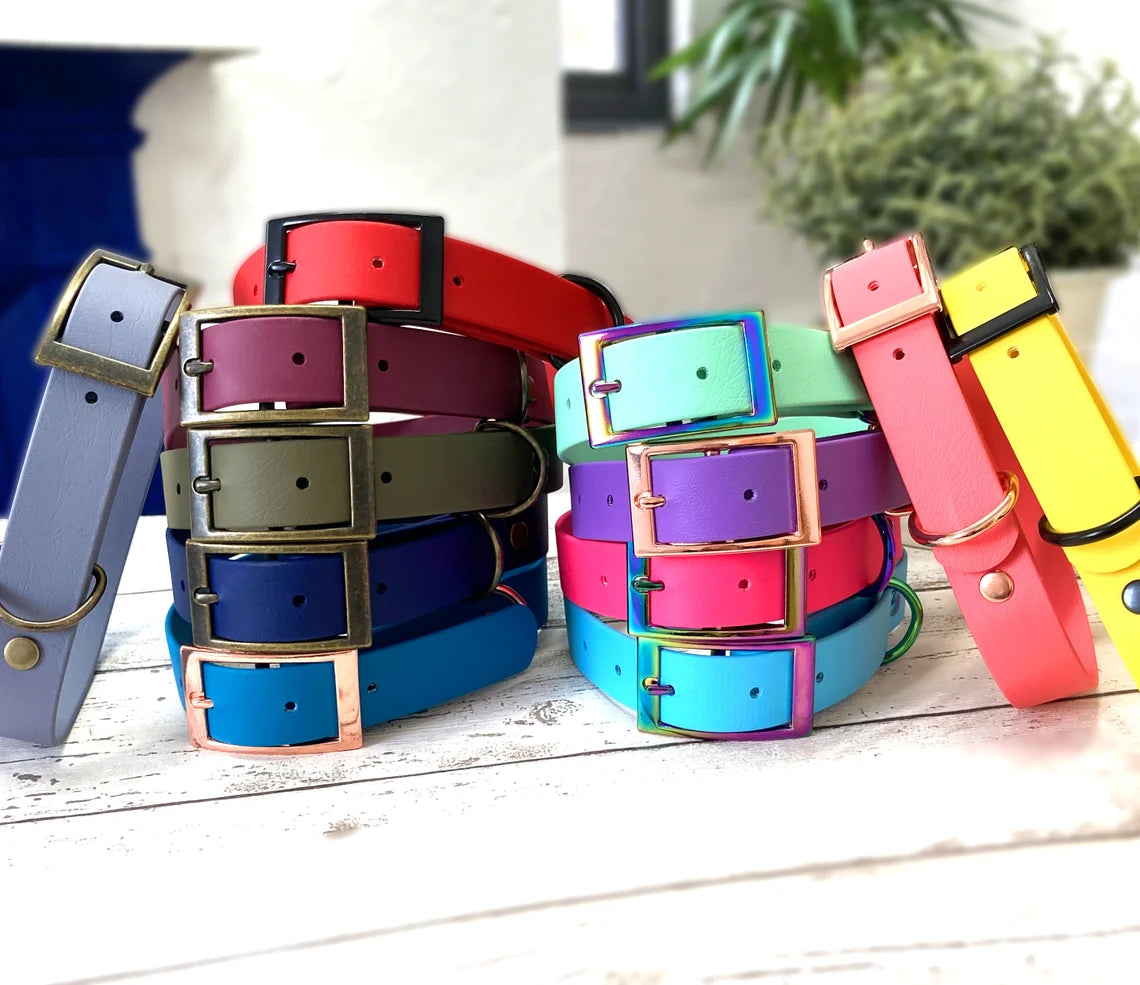 1 INCH BIOTHANE COLLAR LEASH BRASS