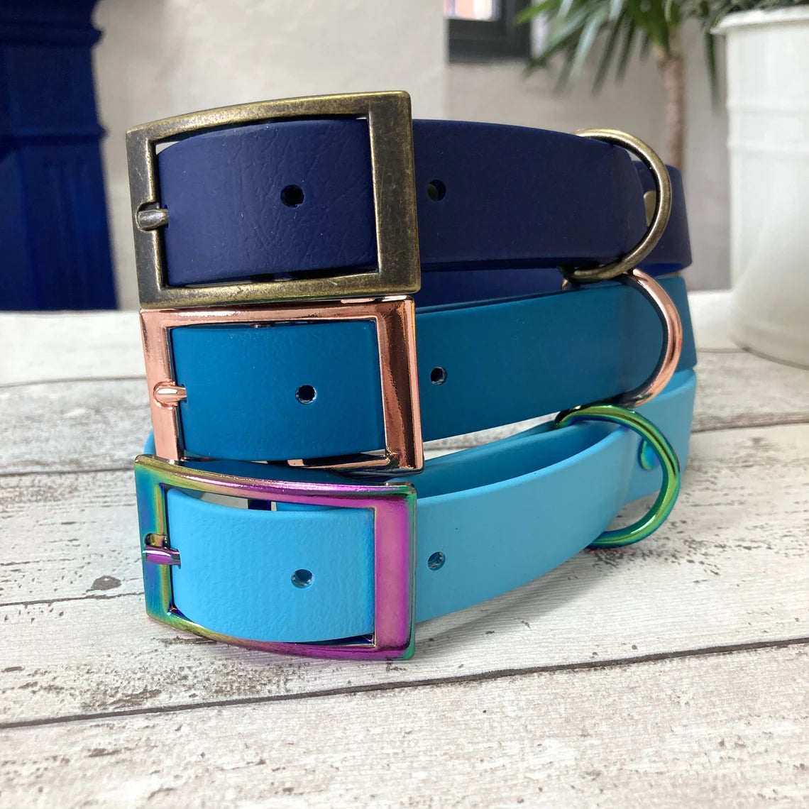 1 INCH BIOTHANE COLLAR LEASH BRASS