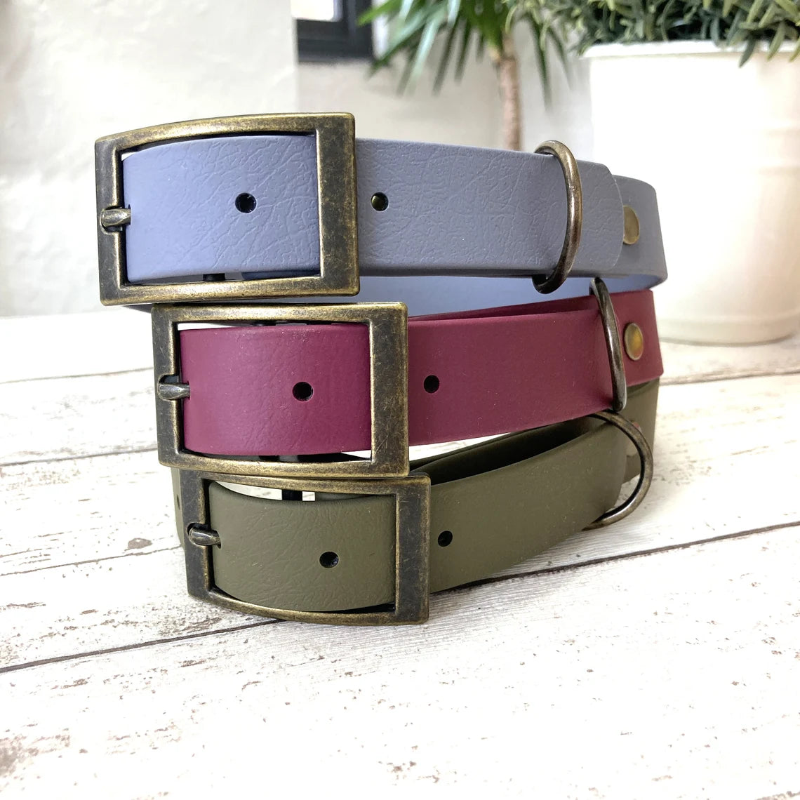 1 INCH BIOTHANE COLLAR LEASH BRASS