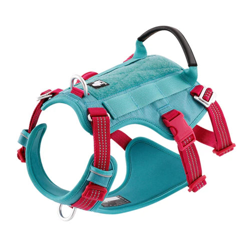 TRUELOVE ESCAPE PROOF DOG HARNESS POOL BLUE M
