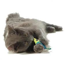 CATNIP CHEW MICE