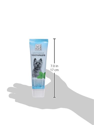 M PETS TOOTHPASTE MINT FLAVOUR 100ML