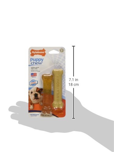 NB PUPPY POWER CHEW L