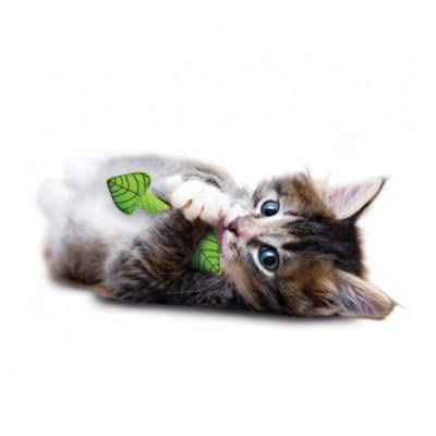 FRESH BREATH MINI STICK 12CM