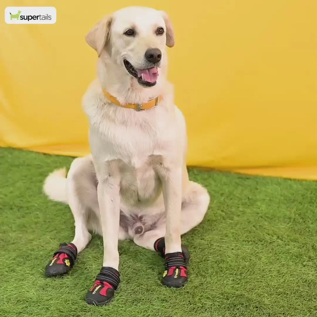 TRUELOVE PET BOOTS SIZE 5 RED