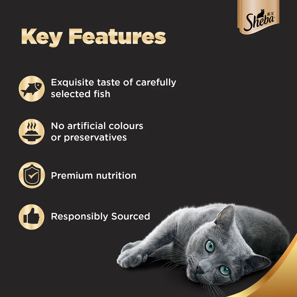 SHEBA FISH WITH DBF 35 GM