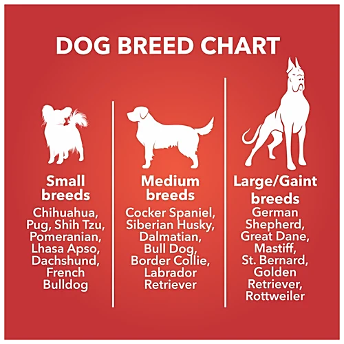 DR CHICKEN AND B EGG BISCUITS 900G