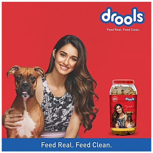 DR CHICKEN AND B EGG BISCUITS 900G