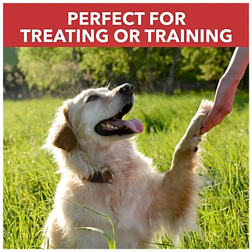 DR CHICKEN AND B EGG BISCUITS 900G