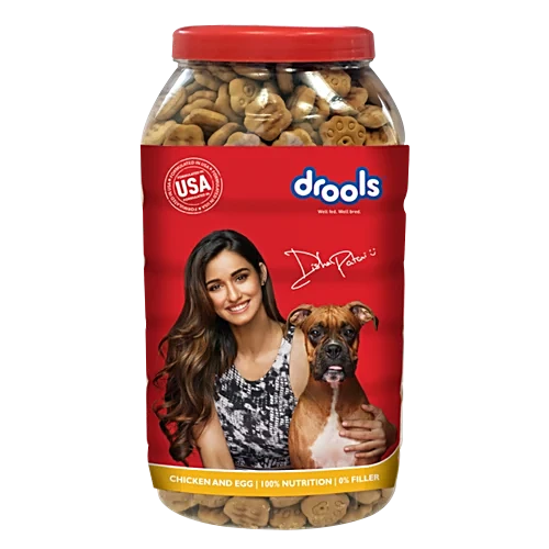 DR CHICKEN AND B EGG BISCUITS 900G