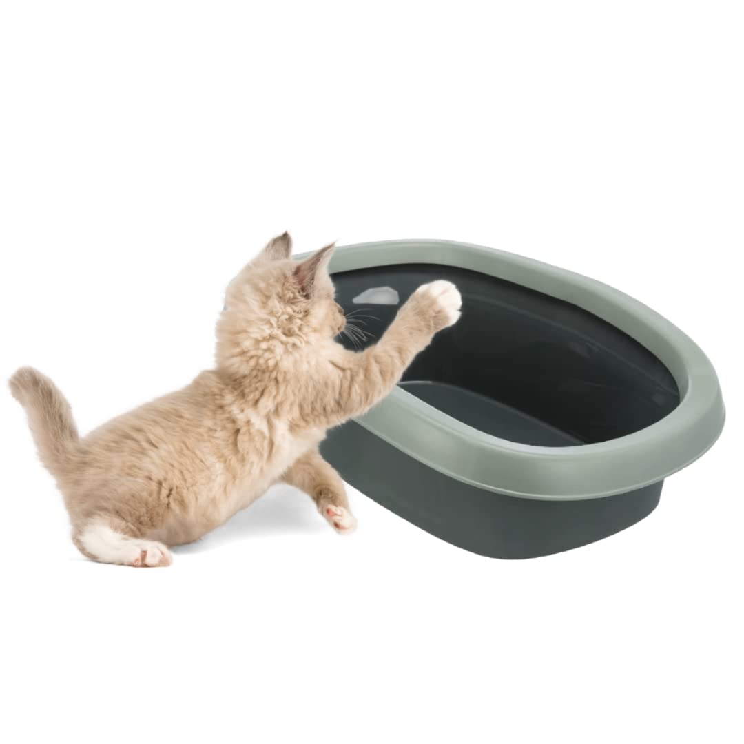 BE ECO CARLO CAT LITTER TRAY WITH RIM 31X14X43CM ANTHRACITE GREY GREEN