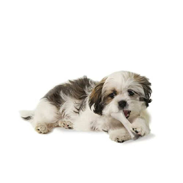 DEERHORN DURABLE CHEW TOY SMALL 13 CM