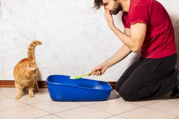 BEST CLEAN CAT LITTER LAVENDER 20KG