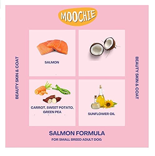 MOOCHIE BSK WITH SALMON GRAVY 85G