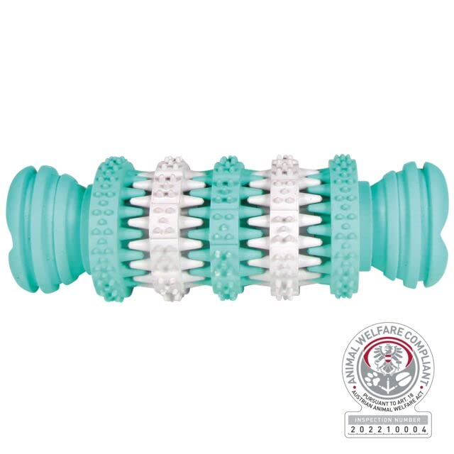 DENTA FUN BONE MINT FLAVOUR NATURAL RUBBER 11CM