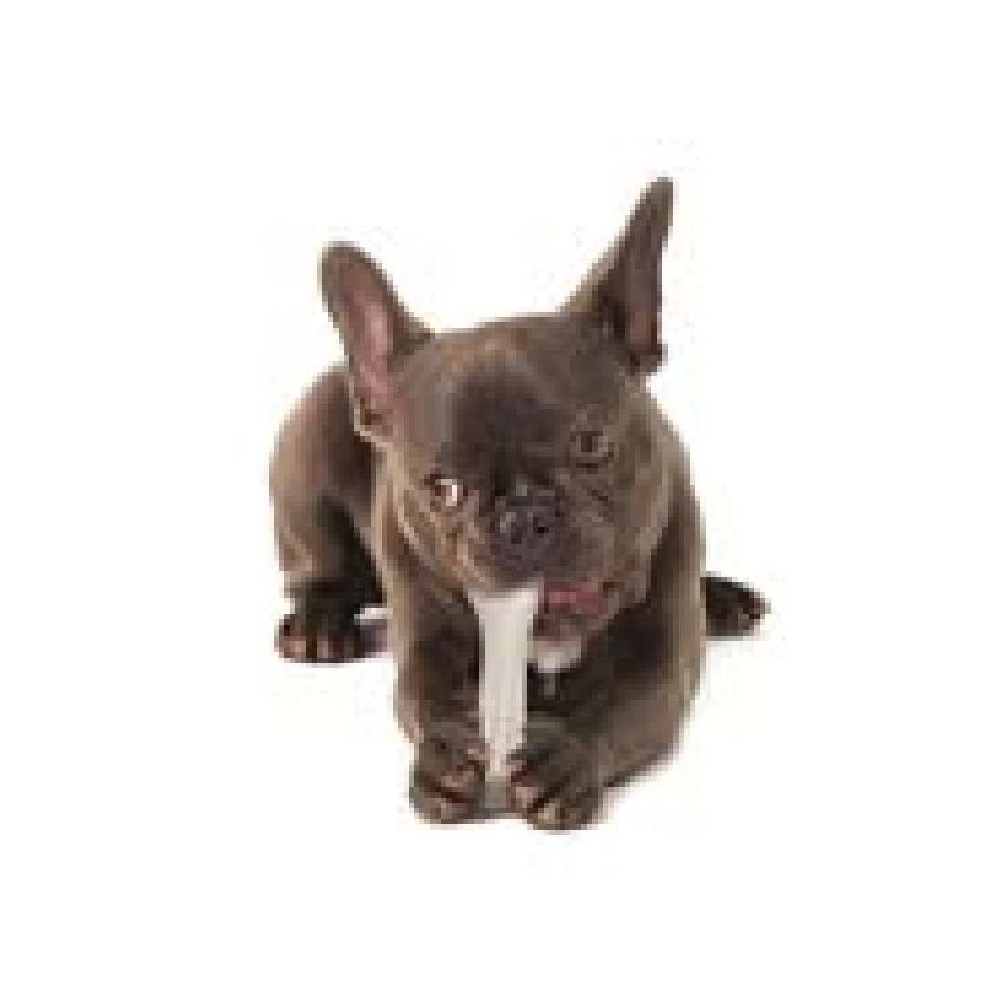 DEERHORN DURABLE CHEW TOY SMALL 13 CM