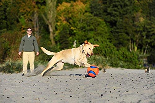 CHUCKIT KICK FETCH SMALL