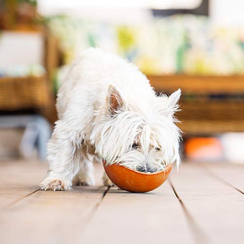 LICKIMAT WOBBLE ORANGE