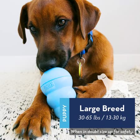 KONG PUPPY LARGE TOY