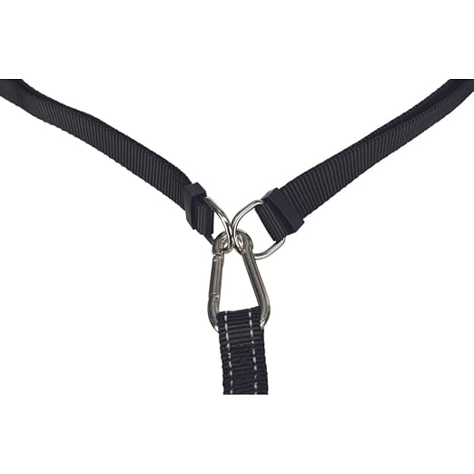 TRIXIE DOG ACTIVITY WAIST BELT WITH LEASH
