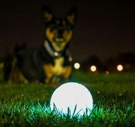 CHUCKIT MAX GLOW BALL MEDIUM