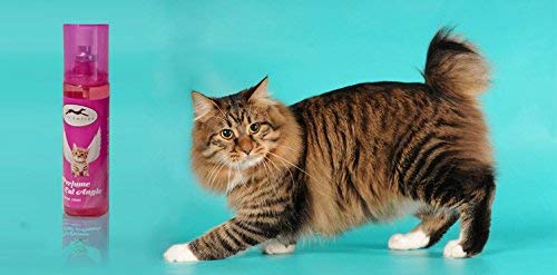 PE CAT PERFUME SNIFFANCY 135ML