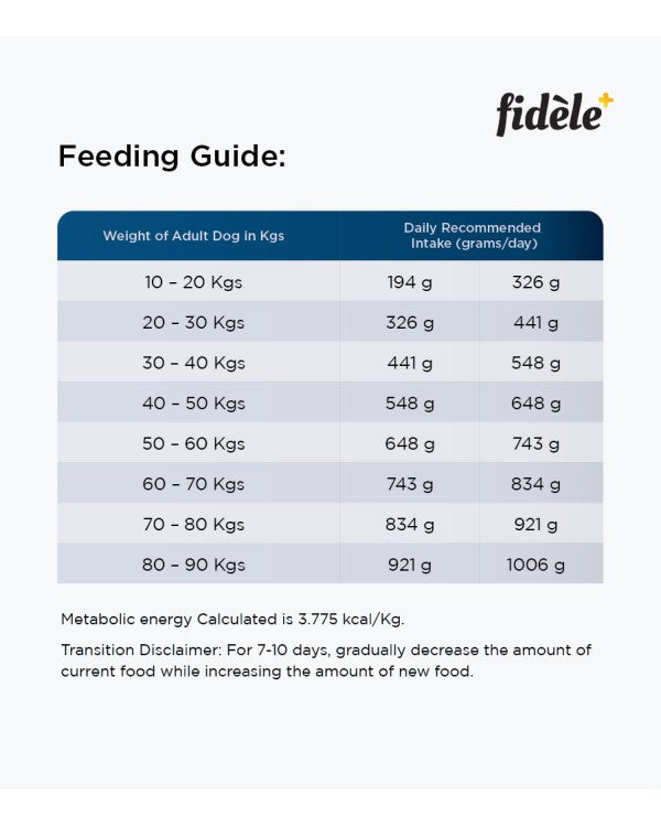 FI ADULT LARGE BREED 1KG