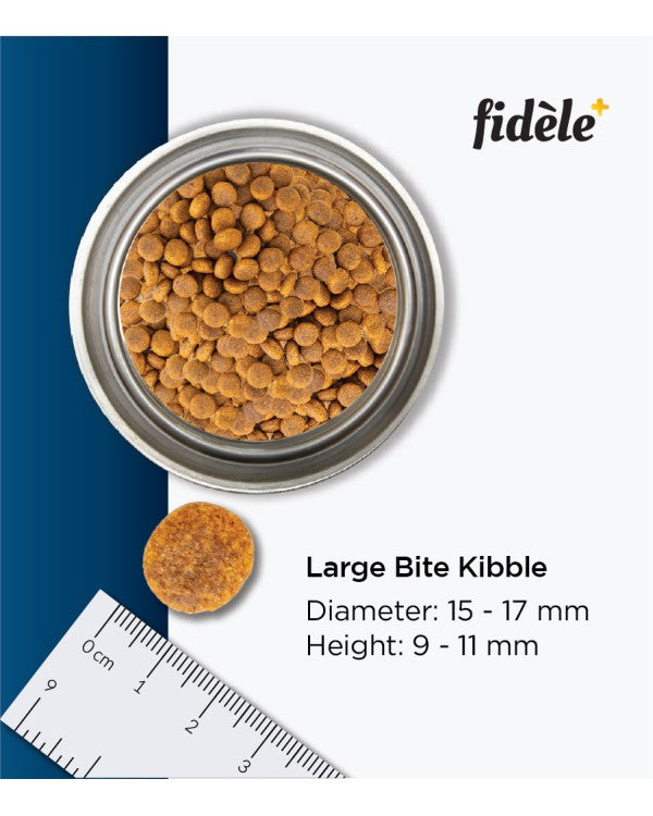 FI ADULT LARGE BREED 1KG