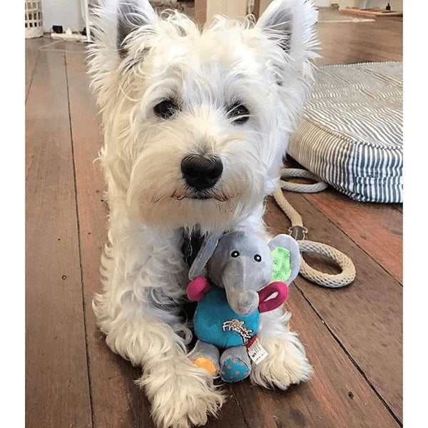 GIGWI PLUSH FRIENDZ  ELEPHANT S M