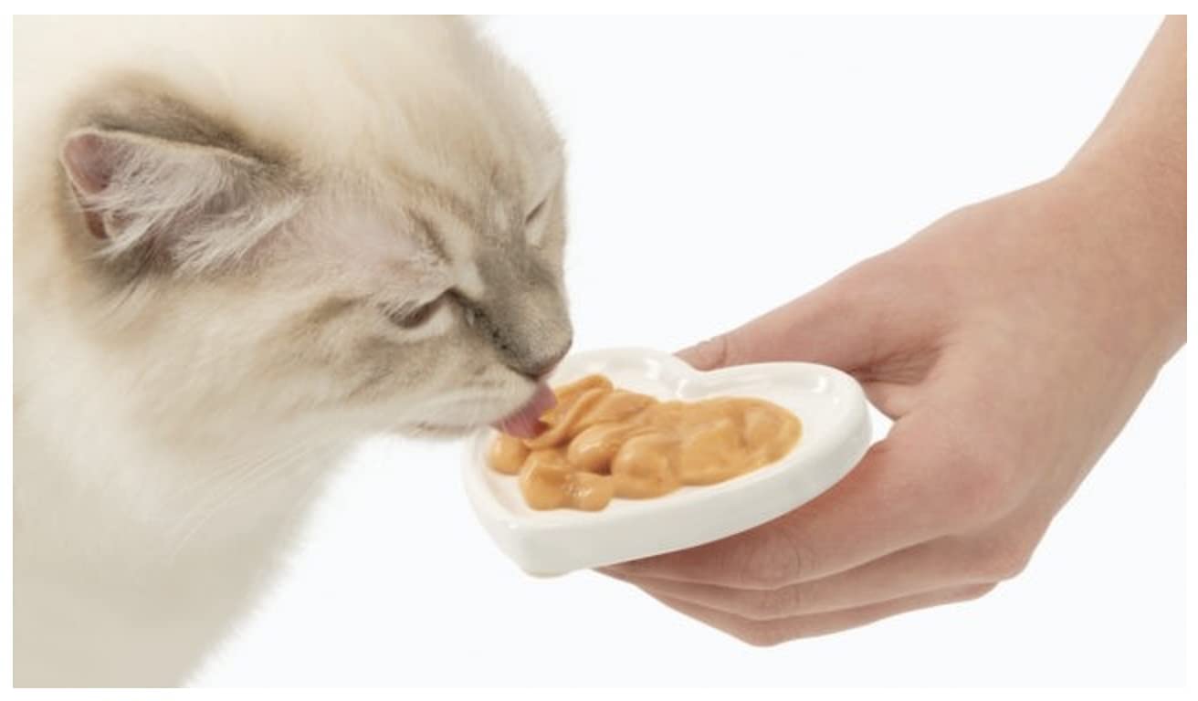 CATIT CREAMY SALMON PRAWNS 40G