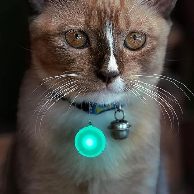 LED PENDNAT