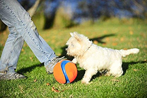 CHUCKIT KICK FETCH SMALL