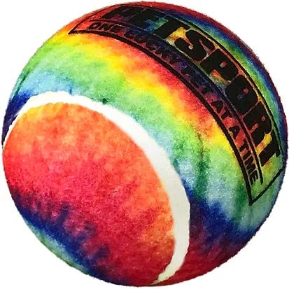 TIE DYE SQUEAK BALL 4 INCH PACK OF 1