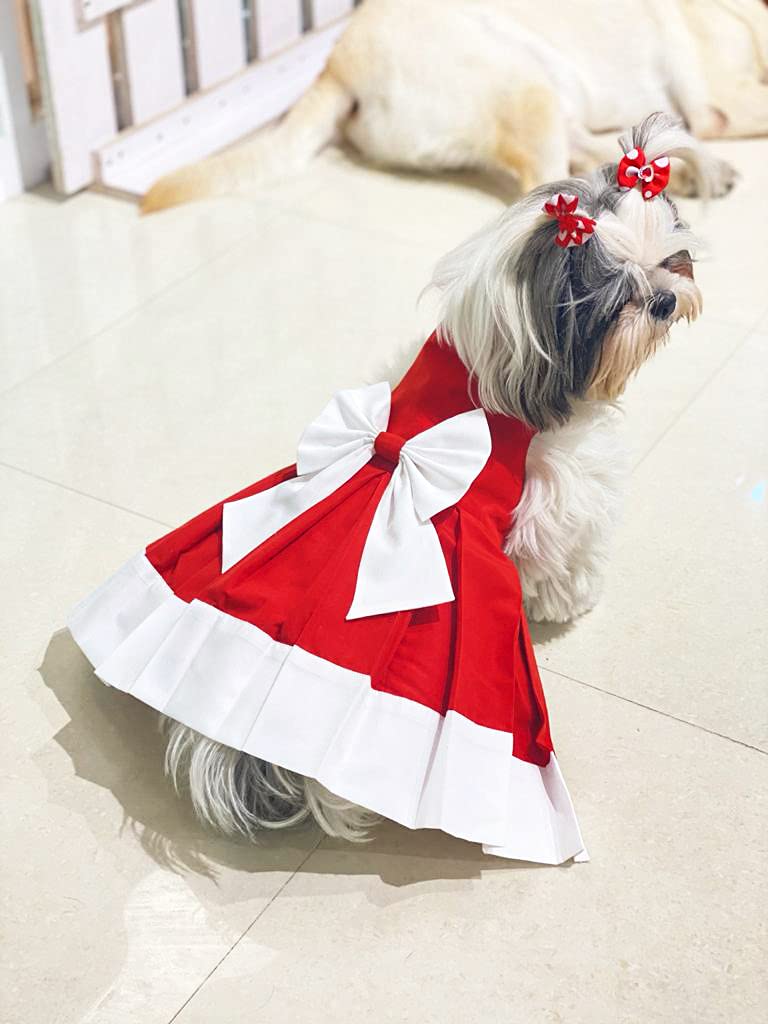 DOB CHRISTMAS FROCK L