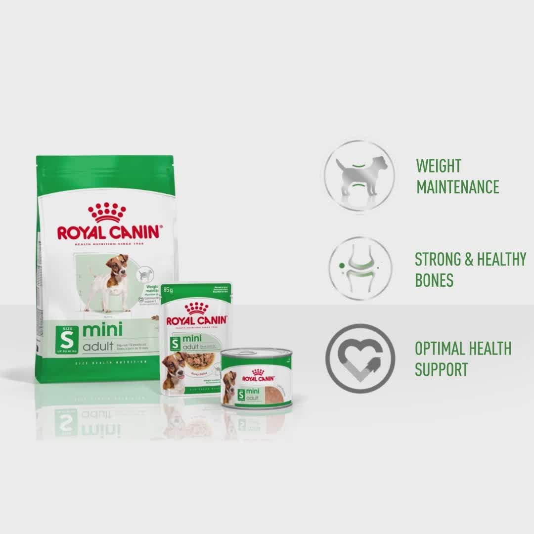 ROYAL CANIN MINI ADULT 4 KG