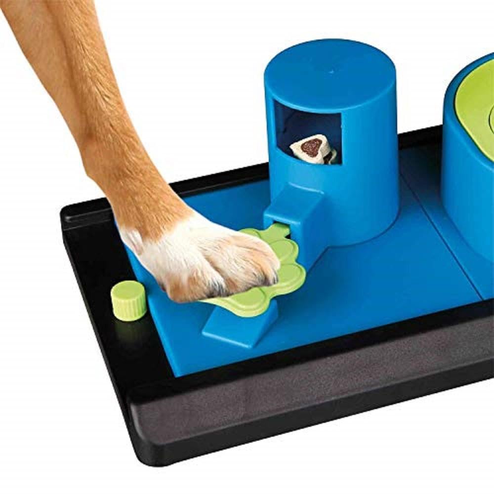 DOG ACTIVITY POKER BOX VARIO 1 STRATEGY GAME SIZE 32  17 CM