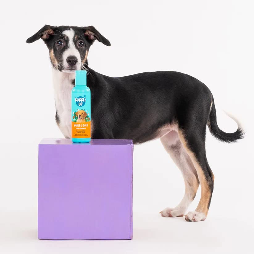 BUBBLE UP COCONUT MILK & ALOE VERA PUPPY SHAMPOO