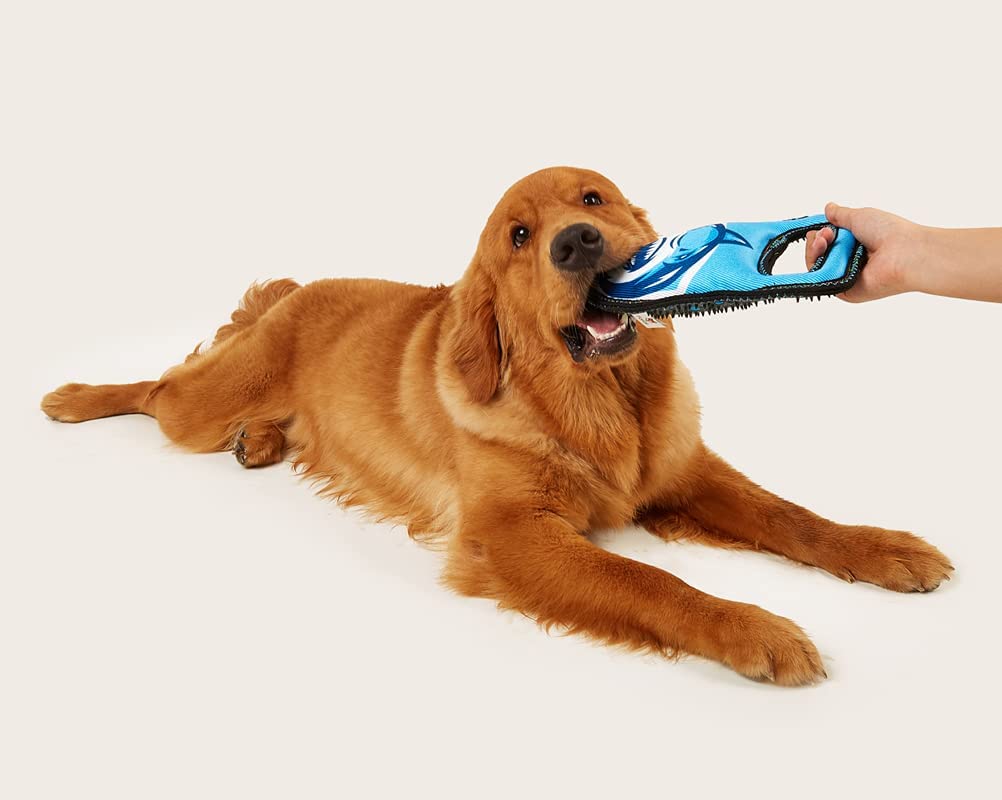 BARKBUTLER FOFOS TOUGH TOYS STRONG SHARK