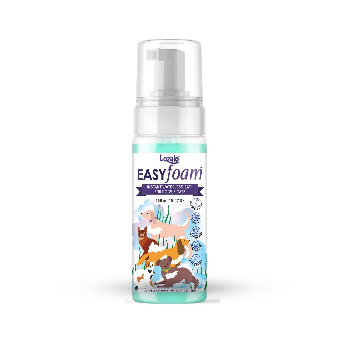 LOZ EASY FOAM 150ML