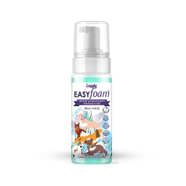 LOZ EASY FOAM 150ML