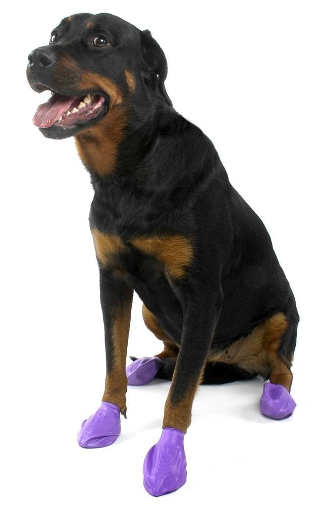 PROTEX PAWZ LARGE PURPLE