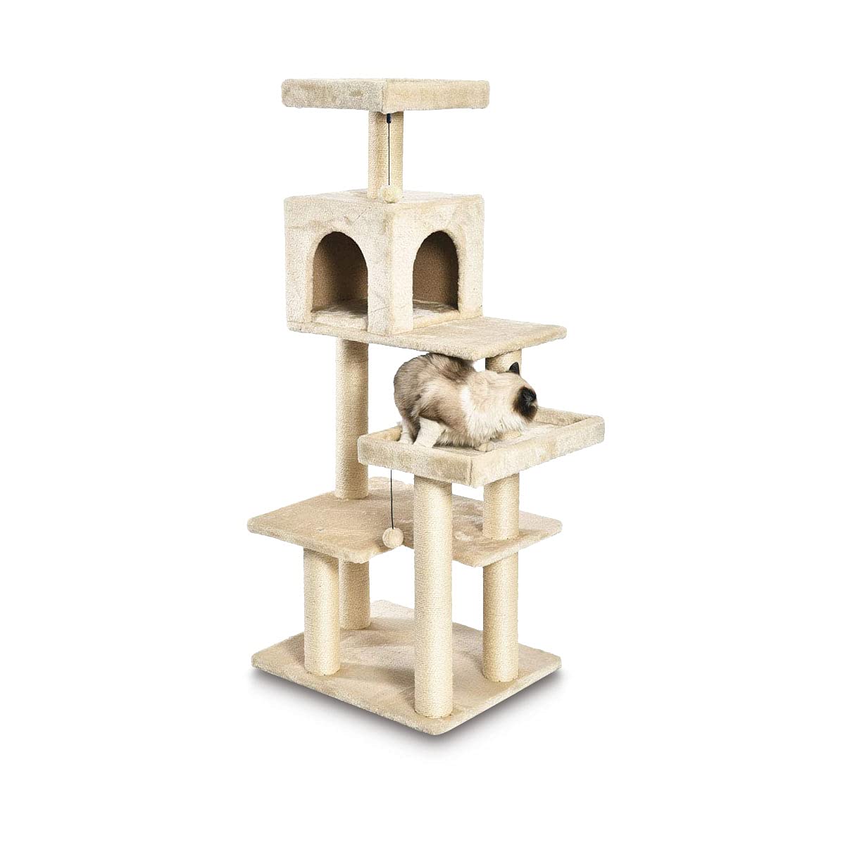 CAT TREE 10B