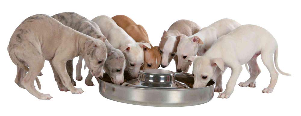 TRIXIE JUNIOR PUPPY BOWL STAINLESS STEEL 1.4L DIA 29