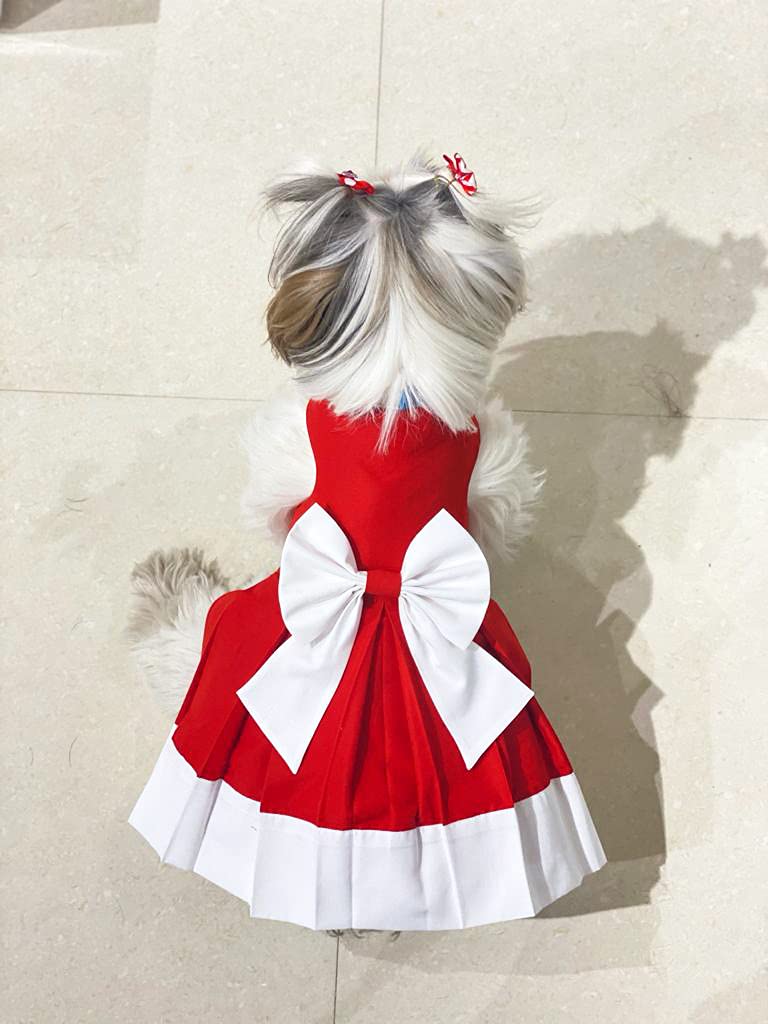 DOB CHRISTMAS FROCK L