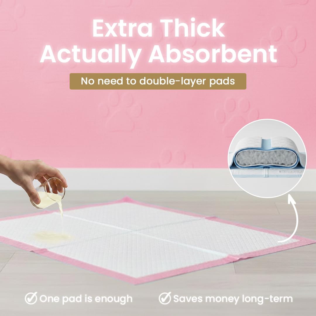 GOODIES TRAINING PADS L