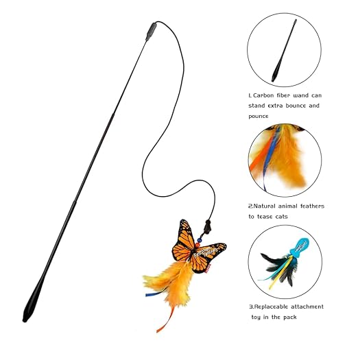 GIGWI FEATHER TEASER FISH ROD